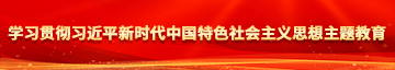 美女肏逼网址学习贯彻习近平新时代中国特色社会主义思想主题教育